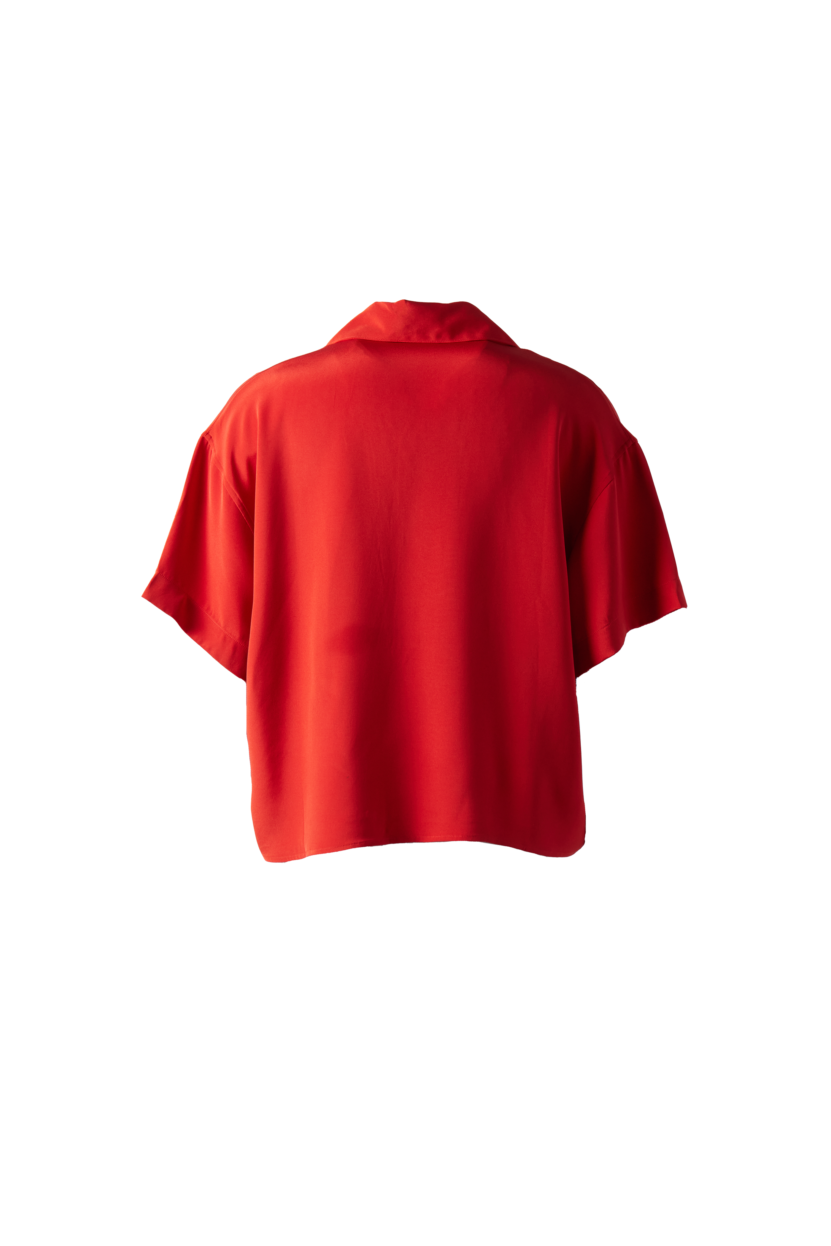 GLASS CYPRESS - Inferno Silk Shirt product image